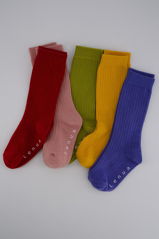 韓國童裝 26春 | LU01 All Day Socks (14-18cm)