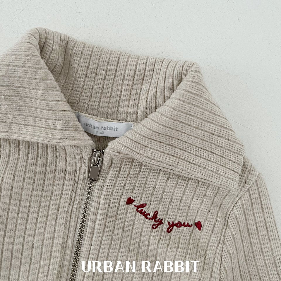 韓國童裝 25秋 | UR25306 Zip up jumper
