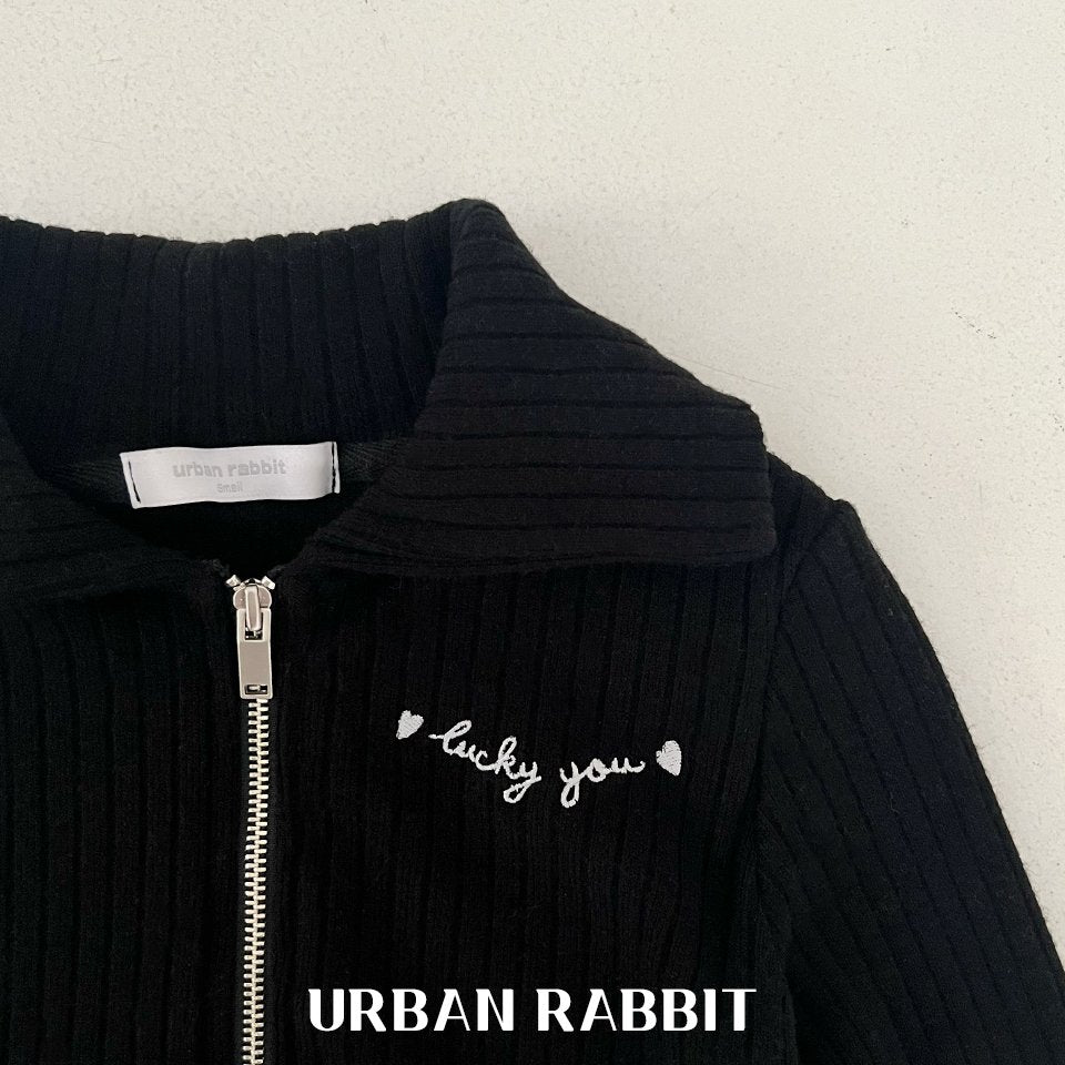 韓國童裝 25秋 | UR25306 Zip up jumper