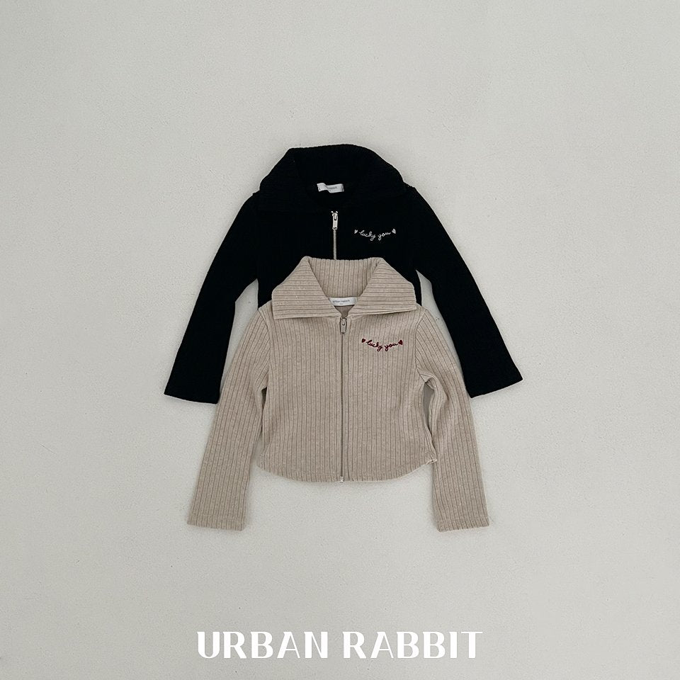韓國童裝 25秋 | UR25306 Zip up jumper