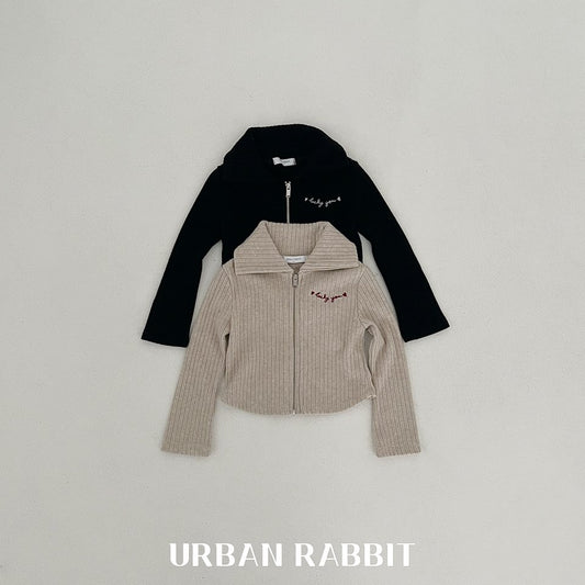 韓國童裝 25秋 | UR25306 Zip up jumper
